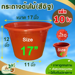 กระถาง กระถางต้นไม้พลาสติก  กระถางต้นไม้  กระถางปลูกต้นไม้ ขนาด 17 นิ้ว สีอิฐ  10 ใบ แถมฟรี ขนาด 4 นิ้วสีอิฐ  10 ใบ