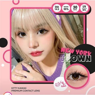 New York brown-250 kitty kawaii