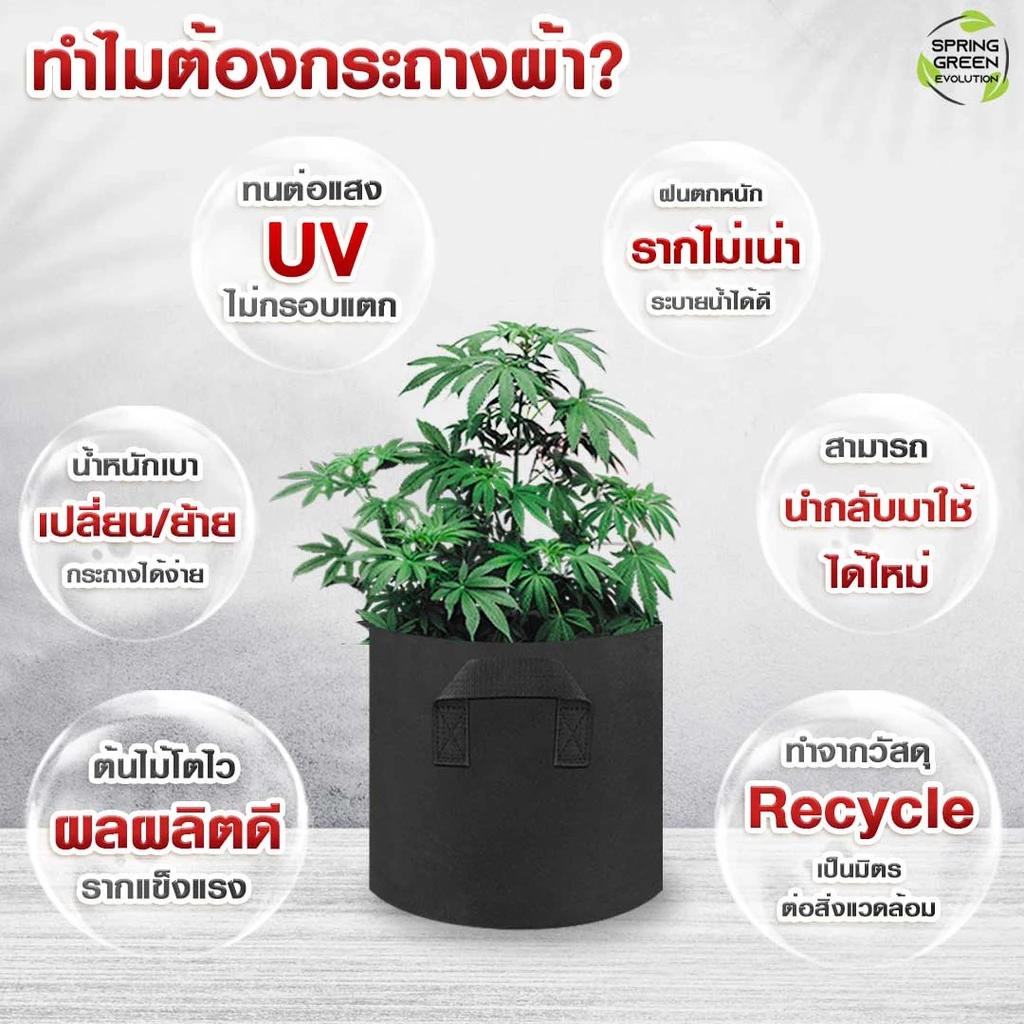 SGE กระถางผ้าปลูกต้นไม้ GB Gallon thumbnail 5