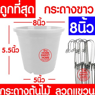 กระถางเพาะชำ 8นิ้ว กระถางขาว กระถางต้นไม้ กระถางปลูกต้นไม้ ลวดแขวนกระถาง ลวดแขวนต้นไม้ กระถาง เพาะปลูก ต้นไม้