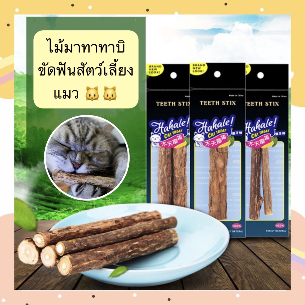 PP-367 ไม้มาทาทาบิ ของเล่นขัดฟันสำหรับแมว ช่วยลดคราบหินปูน เสริมสุขภาพช่องปากแมว ราคาน่ารัก พร้อมจัดส่งทันที 💙✨