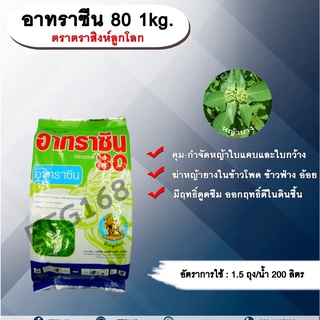 อาทราซีน 80 1kg. ตราสิงห์ลูกโลก อาทราซีน อะทราซีน สารคุมและกำจัดวัชพืช แบบดูดซึม ชนิดผง