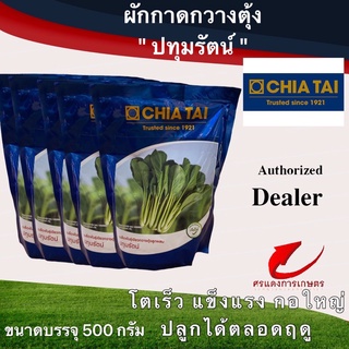 เมล็ดพันธุ์ ผักกาดเขียวกวางตุ้งปทุมรัตน์ 500g