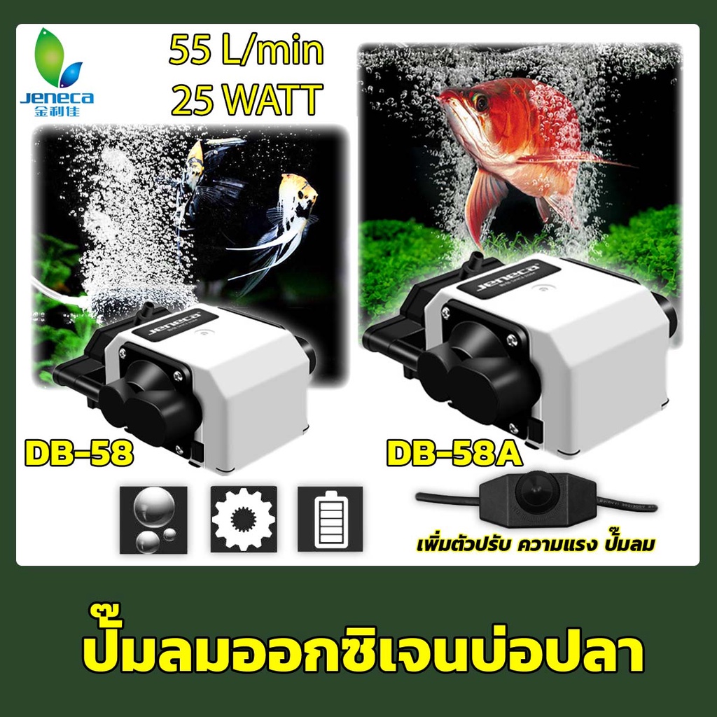 Jeneca DB-58A ปั๊มลมสำหรับตู้ปลาและบ่อปลา แรงดันสูง 55 L/min