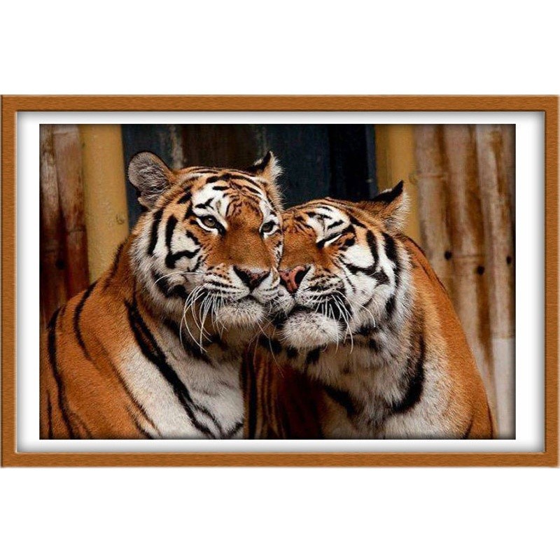 DIY 5D 5D รอบลูกปัดเต็ม Tiger เพชรจิตรกรรม,ลูกปัด