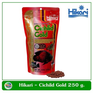 Hikari Cichlid Gold - Mini pellet อาหารปลาหมอสี 250 g.