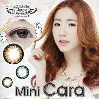 คอนแทคเลนส์mini cara brown