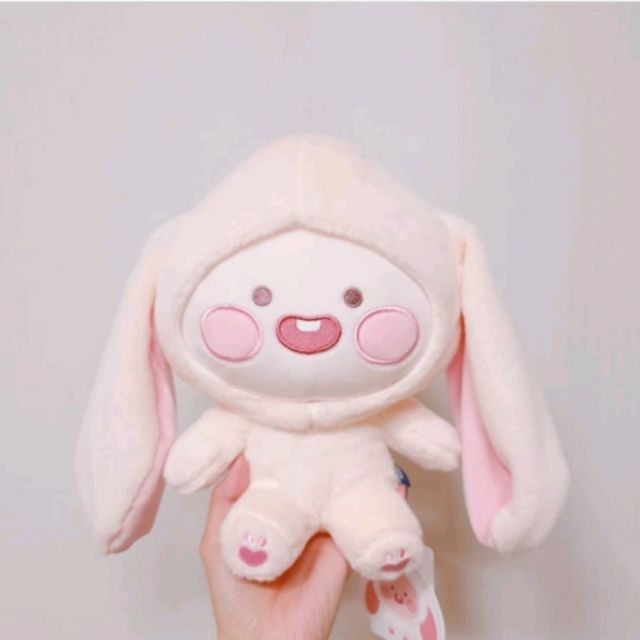 kakaotalk ryan plush