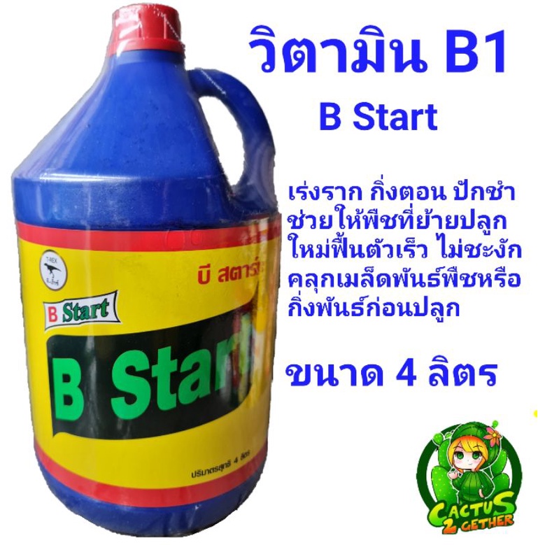 น้ำยาเร่งราก‼️วิตามินบี1 B Start T-Rex ฝาแดง ขนาดแกลลอน4ลิตร