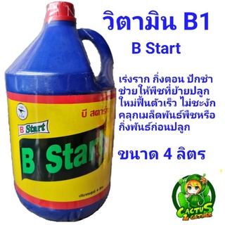 น้ำยาเร่งราก‼️วิตามินบี1 B Start ฝาแดง ขนาดแกลลอน4ลิตร