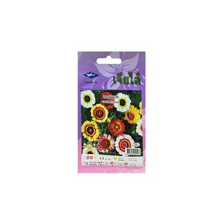 เมล็ดพันธุ์เบญจมาศ | เครื่องบิน | FLOWER-002 เมล็ดพันธุ์ อุปกรณ์ทำสวน สวนและอุปกรณ์นอกบ้าน