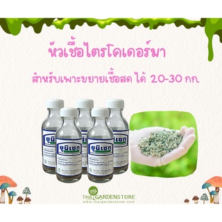 หัวเชื้อไตรโคเดอร์มา เพาะขยายเชื้อสดได้ 20-30กก.