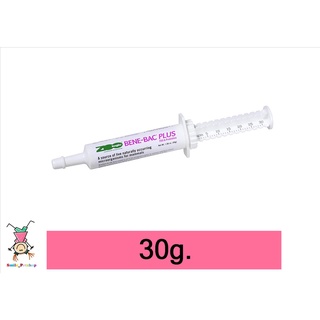 Bene-Bac Plus อาหารเสริม โปรไบโอติก เสริมภูมิคุ้มกัน ช่วยย่อย สำหรับสุนัข แมว กระต่าย (30 กรัม/หลอด) exp.2024