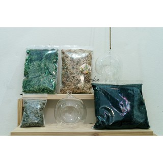 สวนขวด ชุด DIY Terrarium Set B