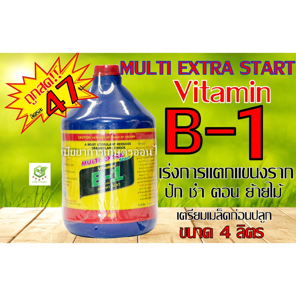 4ลิตร  B-1 บีวัน ฝาแดงฉลากไทย คุ้มB-1ยาเร่งราก B1  บี1 บี-1 นำ้ยาเร่งราก