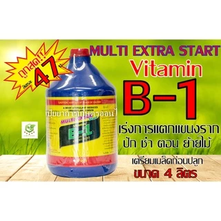 4ลิตร B-1 บีวัน ฝาแดงฉลากไทย คุ้มB-1ยาเร่งราก B1 บี1 บี-1 นำ้ยาเร่งราก