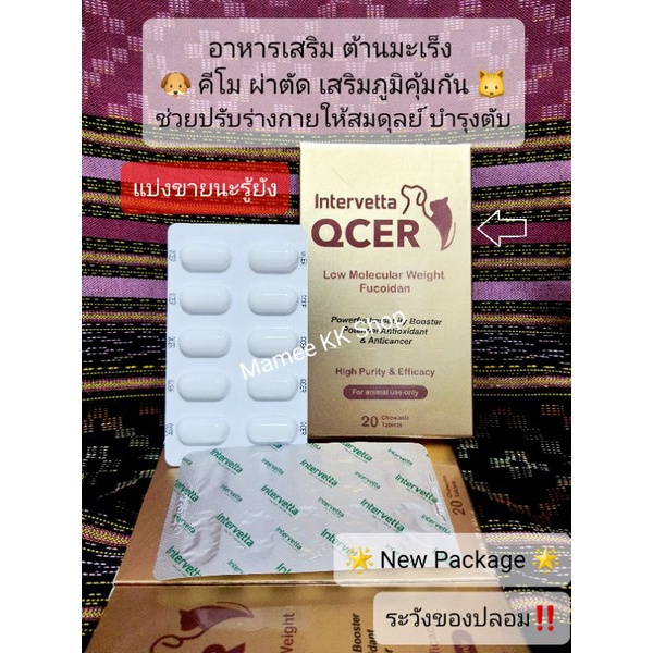 QCER (10เม็ด/20เม็ด) ของแท้ อาหารเสริมต่อต้านมะเร็ง คีโม ผ่าตัด ในสัตว์เลี้ยง for DOG & CAT มะเร็งสุนัข หมา มะเร็งแมว