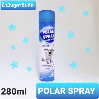 Polar spray โพลาร์ สเปรย์ น้ำมันยูคาลิปตัส Plus แอคทีฟ โพลาร์ ขนาด 280 ml กระป๋องใหญ่  สินค้าพร้อมส่ง