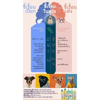 ดีโมครีม Democream ครีมทาผิวหนังสุนัข-แมว สัตว์เลี้ยง แก้ขนร่วง ช่วยปลูกขน ครีมทาผื่นคันหมาแมว ครีมทาผื่นหมาแมว