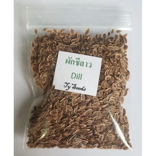 เมล็ดพันธุ์ ผักชีลาว 10 กรัม🪴เมล็ดใหม่สมบูรณ์ อัตราความงอกสูง ซื้อ[ 10แถม2 ]คละได้