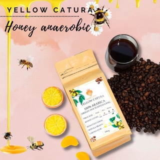 nancoff yellow catura honey anaerobic เมล็ดกาแฟอาราบิก้าคั่วฮันนี่โพรเสส