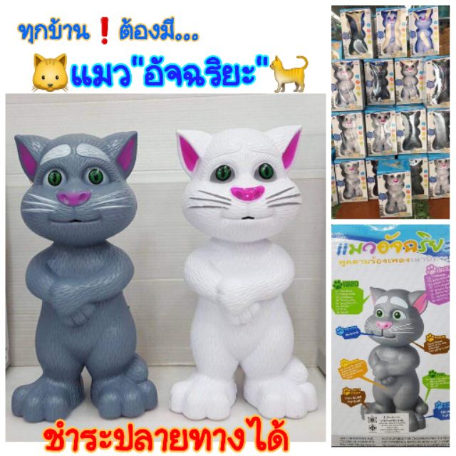 แมวอัจฉริยะ"ทอมแคทพูดได้" ของเล่นแมว Tom cat แมวเล่านิทาน 8เรื่อง ร้องเพลง8เพลง