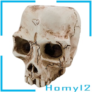 [Homyl2] กระถางดอกไม้สําหรับตกแต่งบ้านและสวน