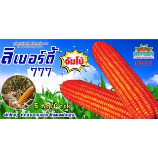 5กก. เมล็ดพันธุ์ ข้าวโพดอาหารสัตว์ ลิเบอร์ตี้ 777 (จัมโบ้) ข้าวโพดไก่ ลิเบอร์ตี้ จัมโบ้ ลิเบอร์ตี้จัมโบ้