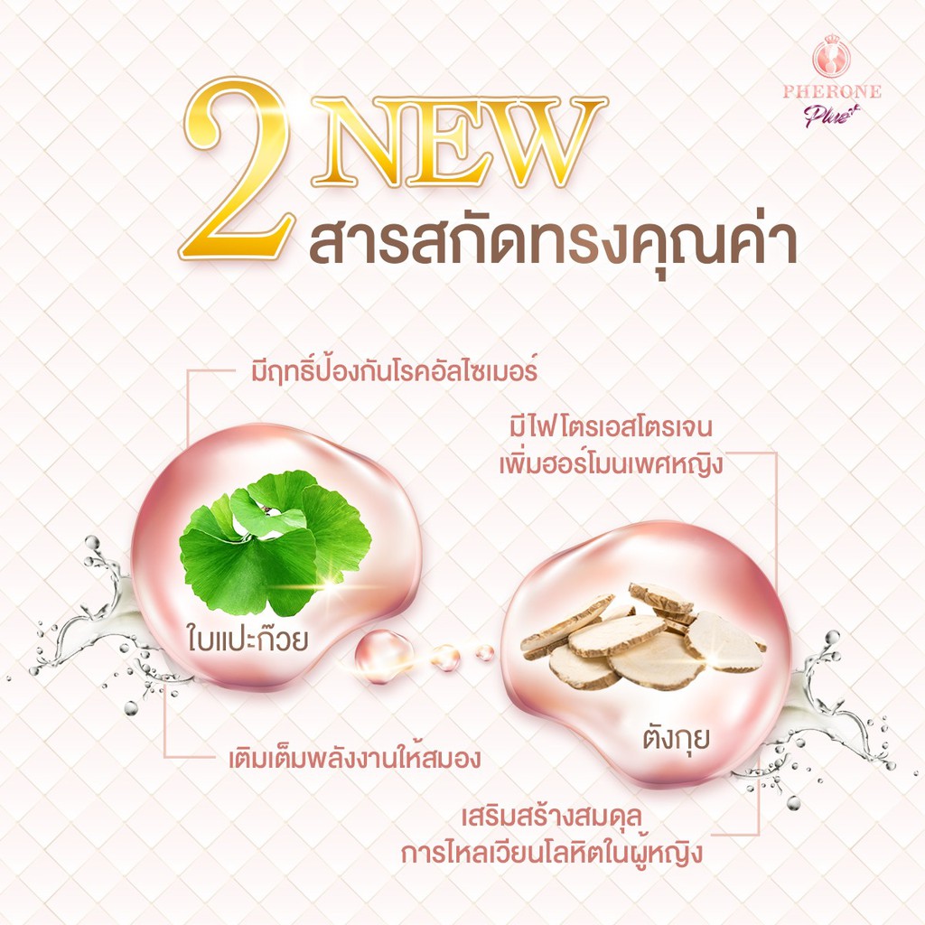 Pherone Plus ฟีโรเน่พลัส กล่องใหญ่ 30 แคปซูล 6 กล่อง แถมฟรี กล่องใหญ่ ...