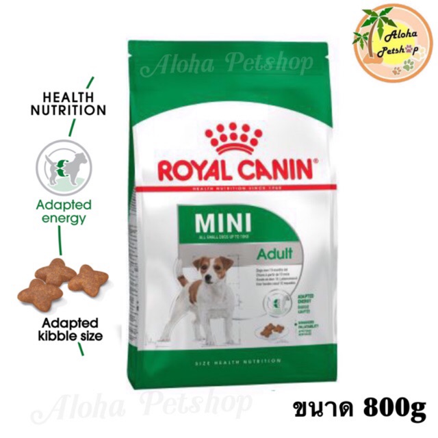 Royal canin Mini adult อาหารเม็ดสำหรับสุนัขพันธุ์เล็กอายุ 10เดือน-8ปี ขนาด 800g