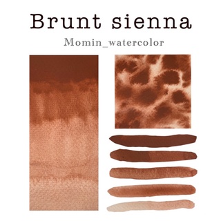 Momin_w สีน้ำทำมือ👞Brunt siennna✨ •60฿(2ml)-12