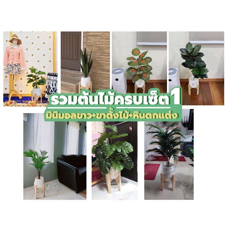 รวมฮิตต้นไม้ปลอมสูง90-100ซม.**ครบเซ็ต** (ต้นไม้+กระถางเบลล่า7"ขาว+ขาตั้งไม้8"+หินตกแต่งฟรี)สุดคุ้ม!! ต้นไม้ปลอมแต่งบ้าน
