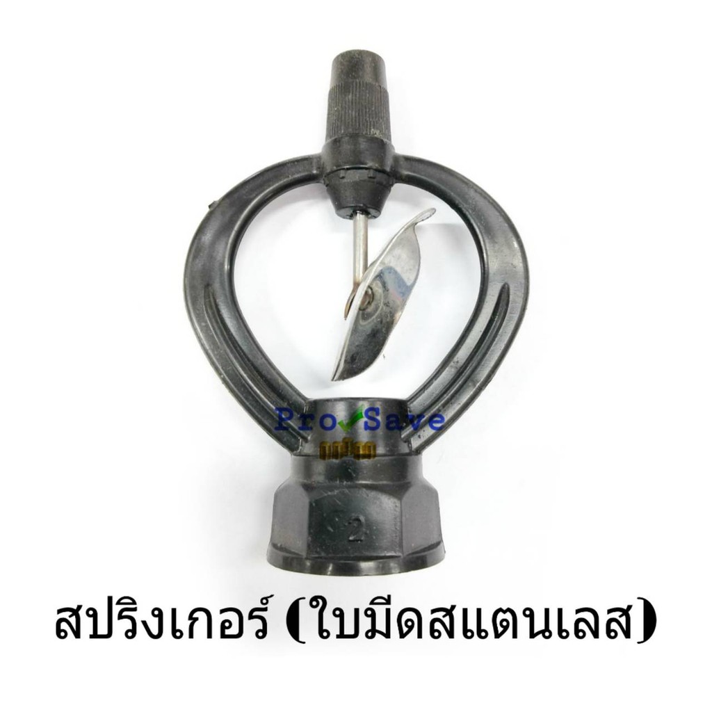 My Image 48