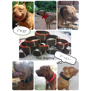 ปลอกคอสุนัขไชส์ใหญ่ 2"×27"  ปรับรอบคอได้ 19"-25"