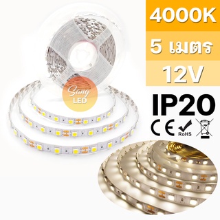 ไฟเส้น LED STRIP แสงสี วอมไวท์ 4000k 12V เส้นเปลือย IP20 ยาว 5เมตร รหัส:C-P5050-4000K-IP20 / (SP-11)