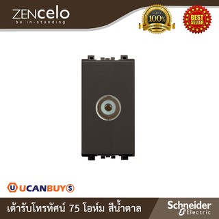 Schneider Electric : เต้ารับโทรทัศน์ 75 โอห์ม สีน้ำตาล | Zencelo - ชไนเดอร์ | 8431STV_BZ | Ucanbuys