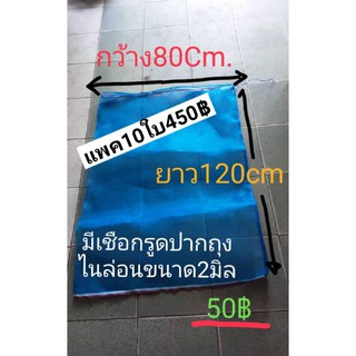 ถุงหอย80×120ซม.แพค10ใบ