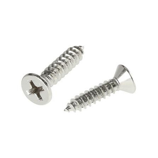 อุปกรณ์ยึดติด สกรูเกลียวปล่อย TF 8X3/4 นิ้ว 25 ตัว Screws, Nuts &amp; Washers