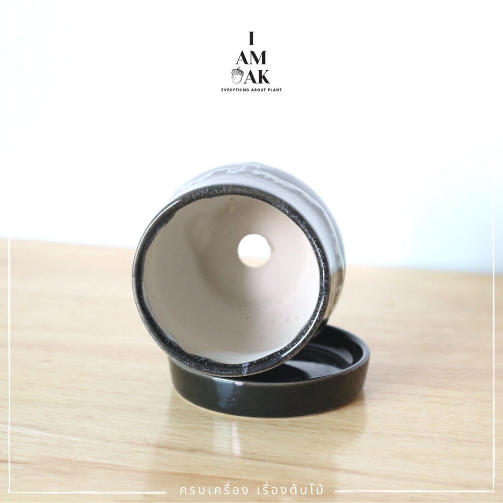 มุมมอง 3