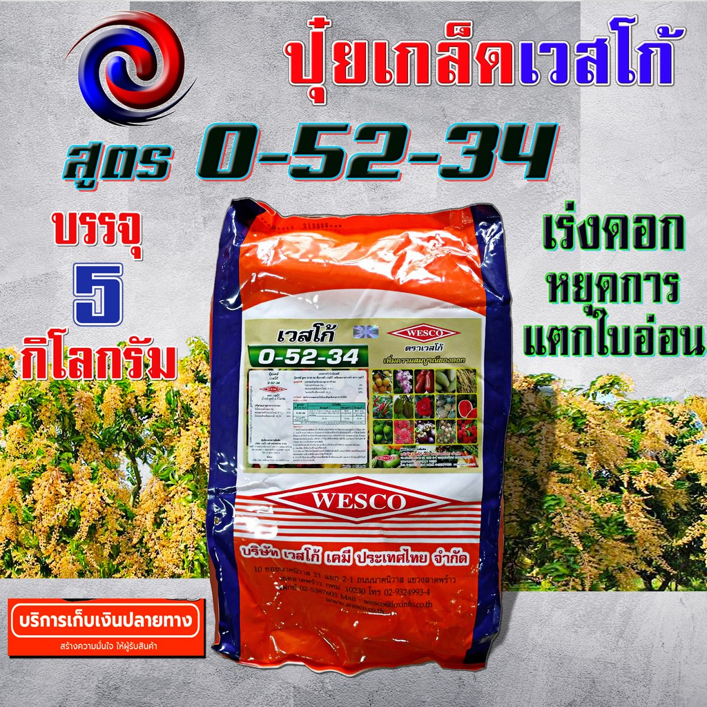 My Image 23