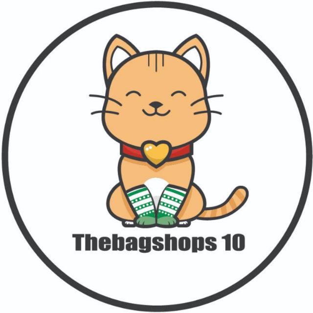 thebagshops10