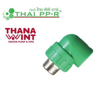 ข้องอเกลียวนอก PP-R ขนาด 20-32 mm ตราไทยพีพี-อาร์ (THAI PP-R)