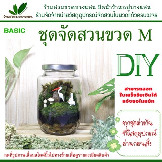 ชุดจัดสวนในขวดแก้ว DIY ไซต์ M basic มีชุดตกแต่งหลายแบบเลื่อนดูเพิ่มเติมในโพสสินค้า