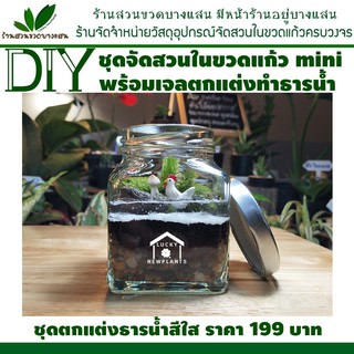 ชุดจัดสวนในขวดแก้ว DIY ชุดตกแต่งธารน้ำใส ไซต์มินิ 199