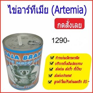 Artemia Koala Brand อาหารสำหรับสัตว์น้ำขนาดเล็ก ขนาดบรรจุ 520 g