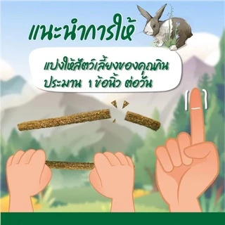 CatHoliday สแน็คบำรุงสุขภาพสำหรับสัตว์กินพืช Randolph Herbivore Treat ขนมสัตว์ฟันแทะ