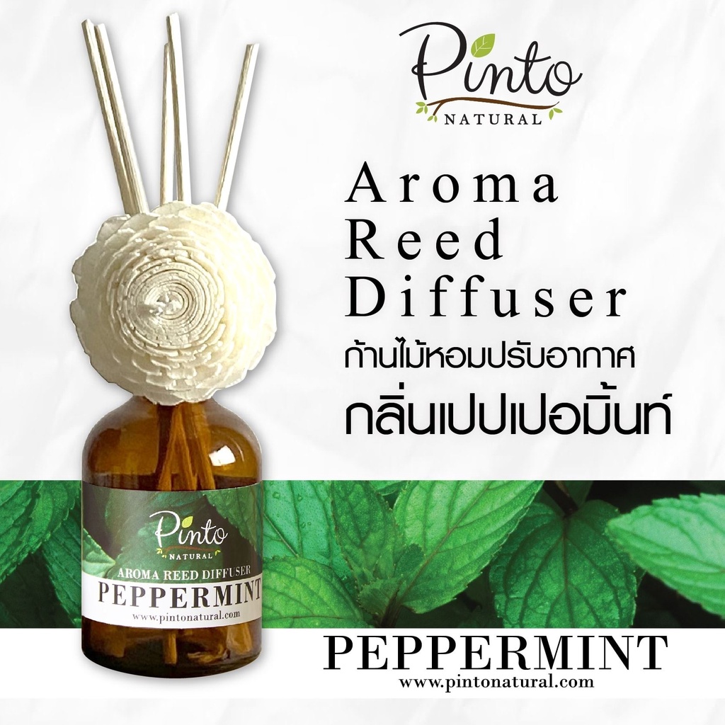 Pinto Natural Reed Diffuser Peppermint ก้านไม้หอมปรับอากาศ กลิ่นเปปเปอร์มิ้นท์ ขนาด 50ml. และ 100ml.