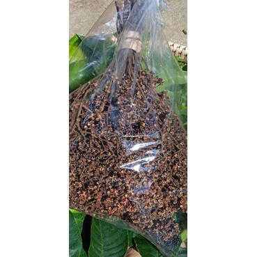 มะแขว่นหอมตากแห้งแบบติดก้าน500กรัม,เครื่องเทศเกรดส่งออก,เก็บใหม่ปีนี้ เริ่มเก็บ20ตุลาคม2568รับประกันสดใหม่,กลิ่นหอมมาก - รูปที่ 3