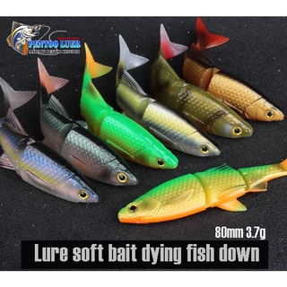 เหยื่อยางตกปลา ปลายาง 3D ปลาบั้ง CHEVRON SOFT BAIT