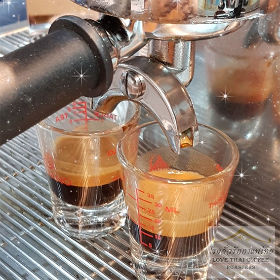 เมล็ดกาแฟ อราบิก้า ปางขอน คั่วเข้ม 500 กรัม / Arabica 100% French Dark Roast 500g. รูปที่ 3